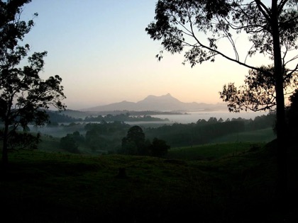 Evening at Nemi's